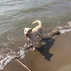 Meet your Posher, Kate